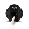 tête Nice ERA M
