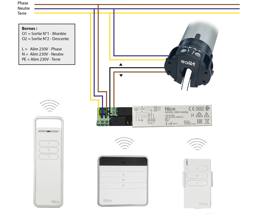 Branchement d'un récepteur radio TT1N pour moteur tubulaire